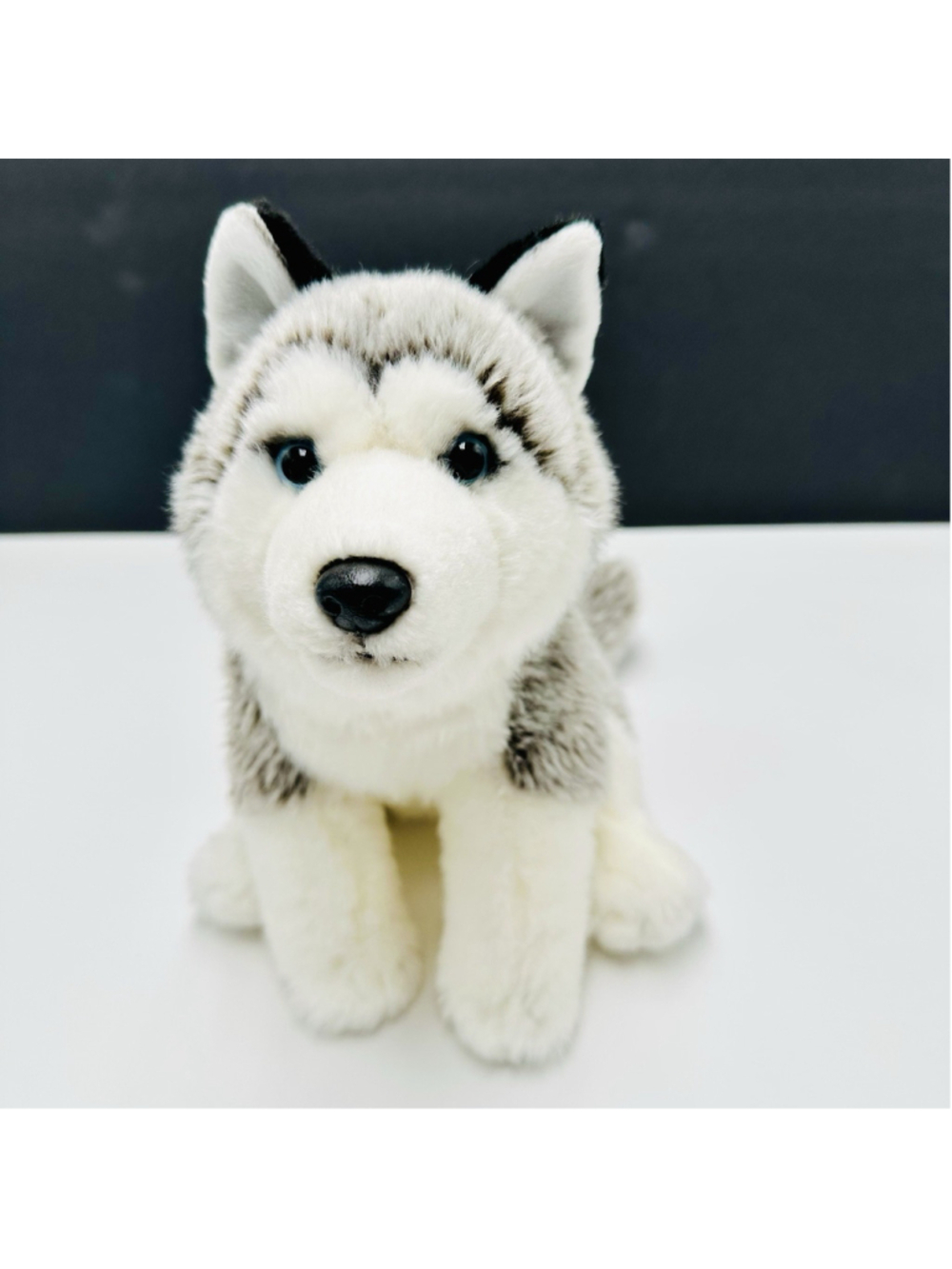Toys R Us Husky Dog Puppy Realistic Plush Stuffed Animal 9" Blue Eyes No Tag